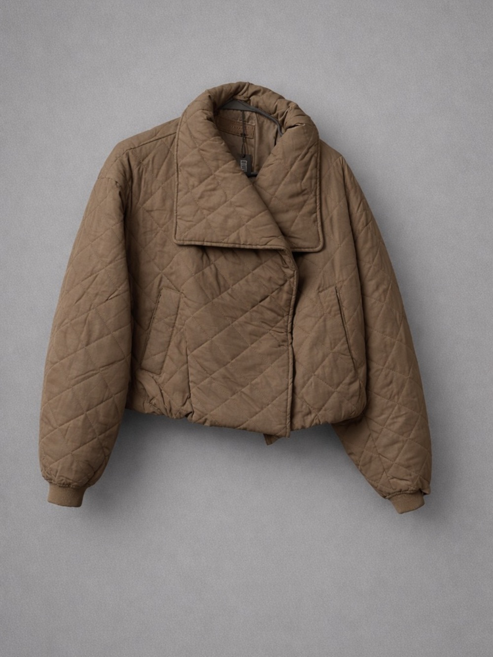 BlankNYC brown crop coat